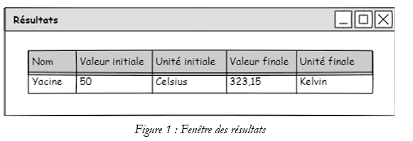 Figure 1 : Fenêtre des résultats 